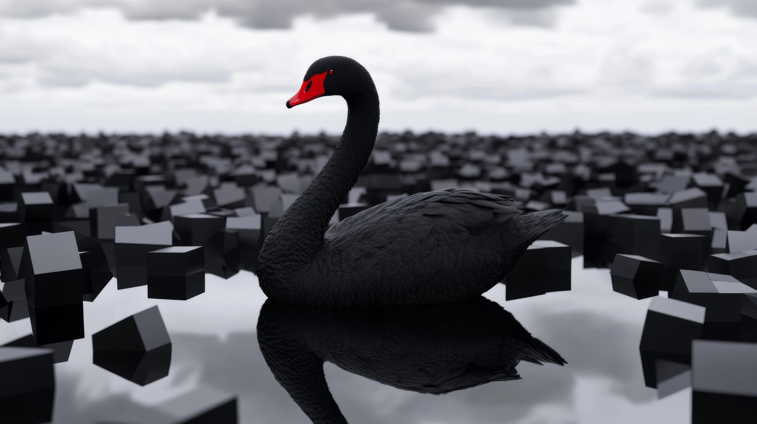 Cos&rsquo;&egrave; un &ldquo;Cigno Nero&rdquo; in Finanza?